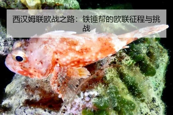 xi-han-mu-lian-ou-zhan-zhi-lu-tie-chui-bang-de-ou-lian-zheng-cheng-yu-tiao-zhan-2-117.jpg